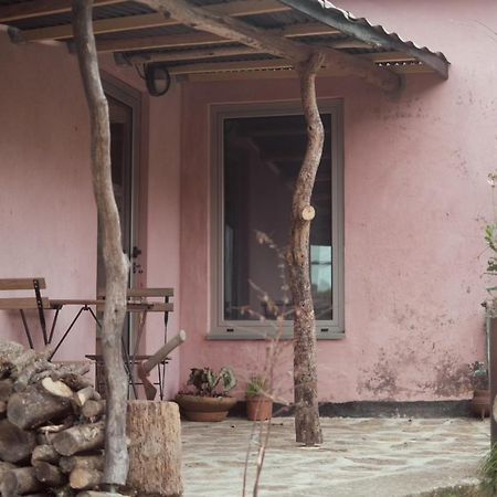 Cabana Do Dinamarques Em Arga De Baixo Eksteriør bilde
